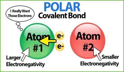 What is the definition of a polar bond?